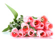 beautiful pink tulips isolated on white.