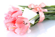 beautiful pink tulips isolated on white.