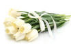 beautiful tulips isolated on white.
