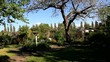 Garten , Park im Frühling,Video HD Garten , Park im Frühling,Video HD