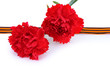 carnations and St. George