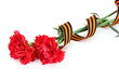 carnations and St. George