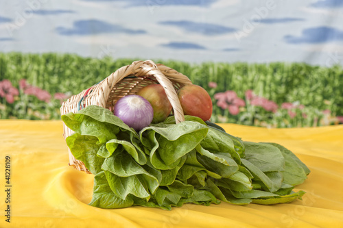Photo: Fresh organic vegetables Fresh organic vegetables