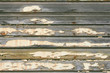 Yellow Peeling White Paint on old Siding