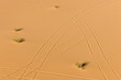 Tyre tracks in the desert landscape of Wadi Rum