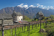 alpine village landscape in spring