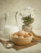 still life eggs