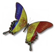 Andorra flag on butterfly
