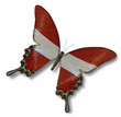 Austria flag on butterfly