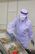 Photo: workers in food processing production line workers in food processing production line