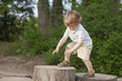 boy climbing on tree