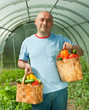 man with vegetables harvest