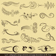 Vector: calligraphy-02 calligraphy-02