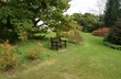 bench in garden