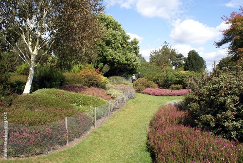 Photo: garden garden
