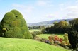outdoor view of hedge and topiary