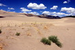 Great Sand Dunes