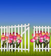 Sunny day in the garden fence gate and tulips