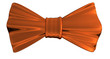 Bowtie Bronze