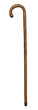 Walking Stick Isolated
