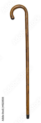 Photo: Walking Stick Isolated Walking Stick Isolated