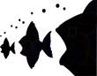 peche