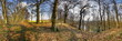 Wald