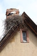Foto: C'est haut ! C'est haut !