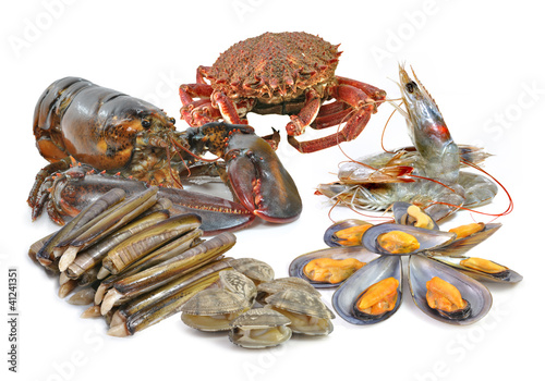 Photo: Diferentes tipos de marisco. Diferentes tipos de marisco.