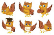 Owl series