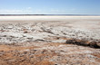 salt field in desert