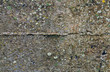 old wet concrete wall with moss