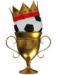 Football championship concept