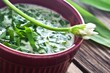 Bärlauch - Kräuter - Suppe