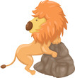 lion