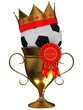 Football championship concept