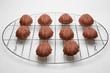 chocolate dessert madeleine on a metal grid