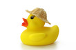 ente mit sonnenhut