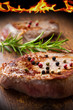 grilled meat fillet
