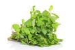 Photo: Lemon balm on bright background. Lemon balm on bright background.