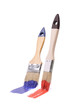 Two paintbrushes
