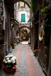 Carugi in fiore - Dolceacqua