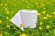 Papier toilette