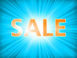 Shopping sale poster. EPS 8