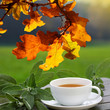 Photo: Tea Tea