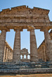 Paestum temple - Italy