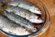 sea fish-fish cooked-sushi-meditterranean fish sea fish-fish cooked-sushi-meditterranean fish