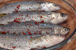 sea fish-fish cooked-sushi-meditterranean fish sea fish-fish cooked-sushi-meditterranean fish