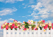 Flower fence on sky background Flower fence on sky background