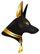Vector: the egyptian got Anubis the egyptian got Anubis